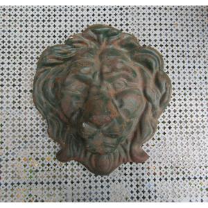 Lion's Head