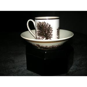 Fine Earthenware Cup And Saucer 1803 Herborisation Decor