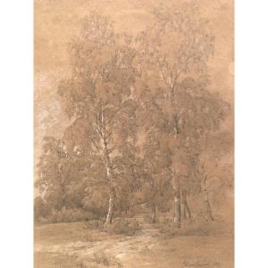 Jean Antoine Duclaux Lyon 1783-1868 Drawing From 1825 Landscape At St Triviers /4