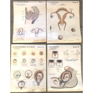 Rare 4 Plates Childbirth Preparation Painless Pregnancy Midwife Medicine Rivallain XIXth/xxth