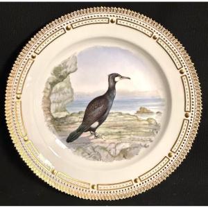Royal Copenhagen Large Cormoran Plate Fauna Danica Perfect Condition Larsen Copenhagen Flora