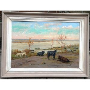 Eugene Cartier 1861-1943 Large Oil Bulls In Camargue Camargue Landscape Arles Bullfight