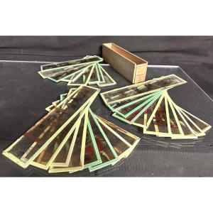 Set Of 26 Magic Lantern Plates