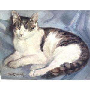 Fernand Clausse 1899-1967 Oil Sleeping Cat On Blue Background /2
