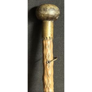 Makila Child 50cm Basque Shepherd's Cane In Medlar Bear