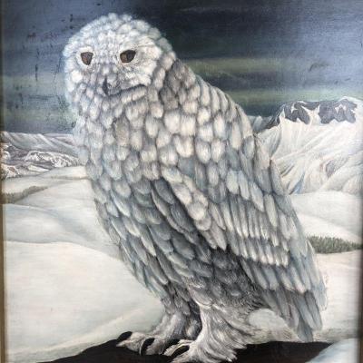 Nicolas Agapoff 1899-? Big Oil Owl Owl Or Snow Owl Far North Or Canada