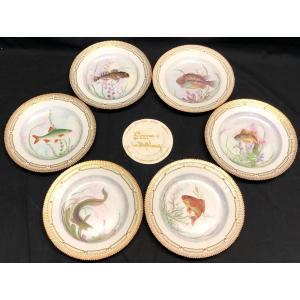 Royal Copenhagen 6 Large Flora Danica Porcelain Plates 3549 Fish Perfect Condition Denmark Copenhague