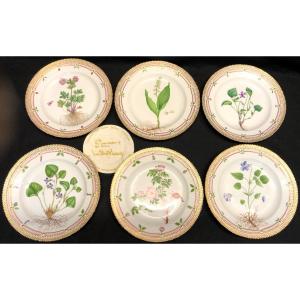 Royal Copenhagen 6 Large Flora Danica Porcelain Plates 3549 In Perfect Condition Denmark