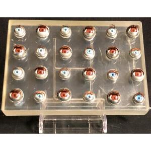 Surrealist Composition: 24 Eyes On A Block Of Altuglas 1940 