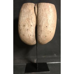 Old Coco Fesse Nineteenth Coconut De Mer Base Sculpture Curiosity