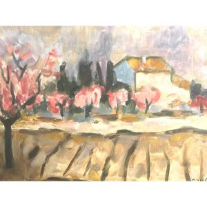 Martin Vives 1905-1991 Oil Trees In Blossom Prades Perpignan Vivès