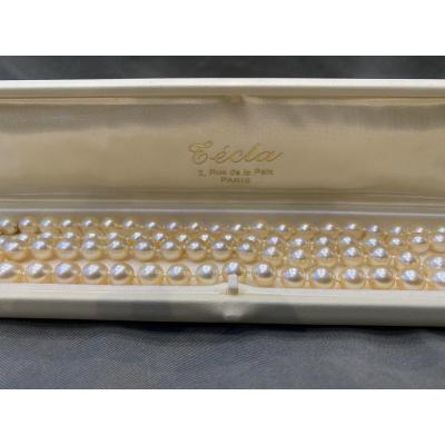 Cultured Pearl  Necklace