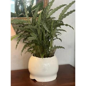 Rosenthal Pot Cover Landscape Collection By Patricia Urquiola