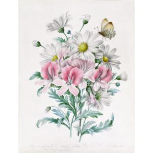 Augustine Lesourd-delisle (1810-1890) Irises And Daisies Being Visited By A Butterfly Angers