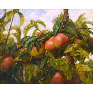 Georges Jeannin (1841-1925) The Pears