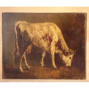 Hst Portrait Of Cow XIXth Century.