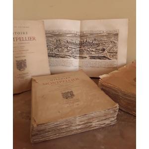 "history Of The City Of Montpellier".