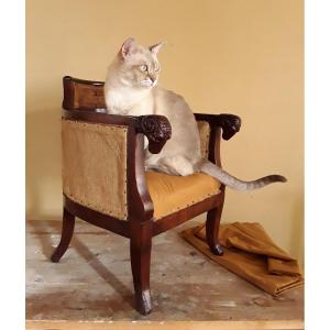 Mini Bergere From The First Empire Period.