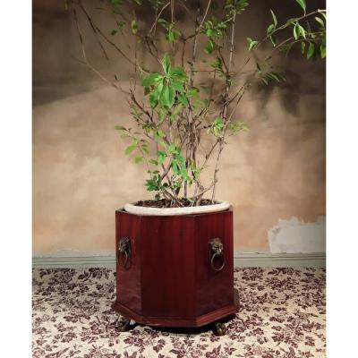 Large Neoclassical Planters.