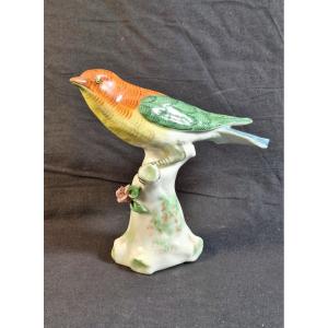 Polychrome Porcelain Bird, Jacob And Mardochée Petit Factory In Fontainebleau, 19th Century