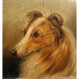 Portrait Of A Colley Dog, English School, 19th Century 