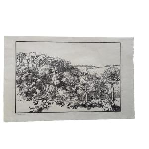 Trial Proof – Original Engraving By Jacques Beltrand – Wooded Landscape