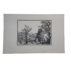 Trial Proof – Original Engraving By Jacques Beltrand – Wooded Landscape 2/2