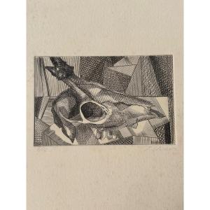 Original Engraving Signed Jean Linard - Animal Skull