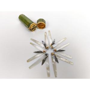 Luxurious Lancet Case, Surgical Kit In Gold, Mother-of-pearl And Shagreen. Early 19th Century.