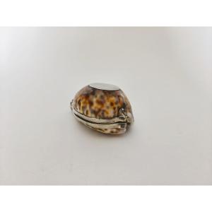 Large Snuff Box In A Cypraea Shell Or Porcelain, Solid Silver Vermeil Setting