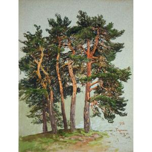 Themistokles Von Eckenbrecher, (1842-1921), Norwegian Pine Forest, 1901 / - The Glow Of The Trees -