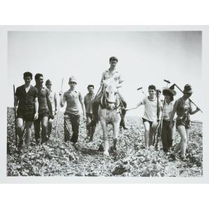 Stefan Moses (1928 - 2018), At The Kibbutz, Circa 1965