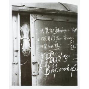 Stefan Moses (1928 - 2018), Horse In A Wagon, Circa 1955