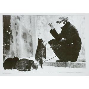 Moses, Stefan (1928 - 2018), Man With Street Cats, C. 1980