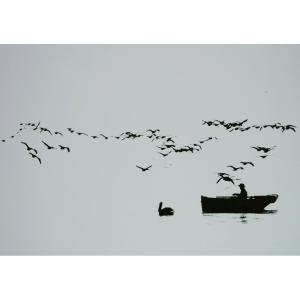 Stefan Moses (1928 - 2018), Rowers With Birds, Circa 1960