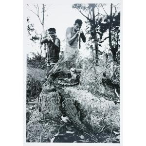 Stefan Moses (1928 - 2018), Crocodile Hunter, Circa 1955