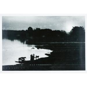 Stefan Moses (1928 - 2018), Horses By A Lake, Circa 1950