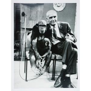 Stefan Moses (1928 - 2018), Director Of The Bernhard Grzimek Zoo, Circa 1970