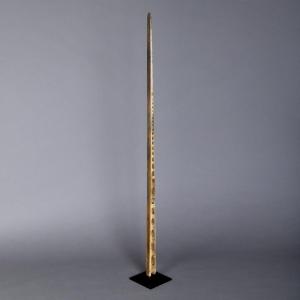 Fish Rostrum – Oceania