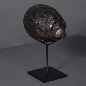 Coconut Bottle – Europe