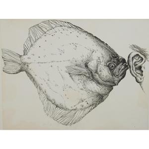 Grass Günter - Mr. Day, Mrs. Night