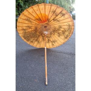Asia Parasol