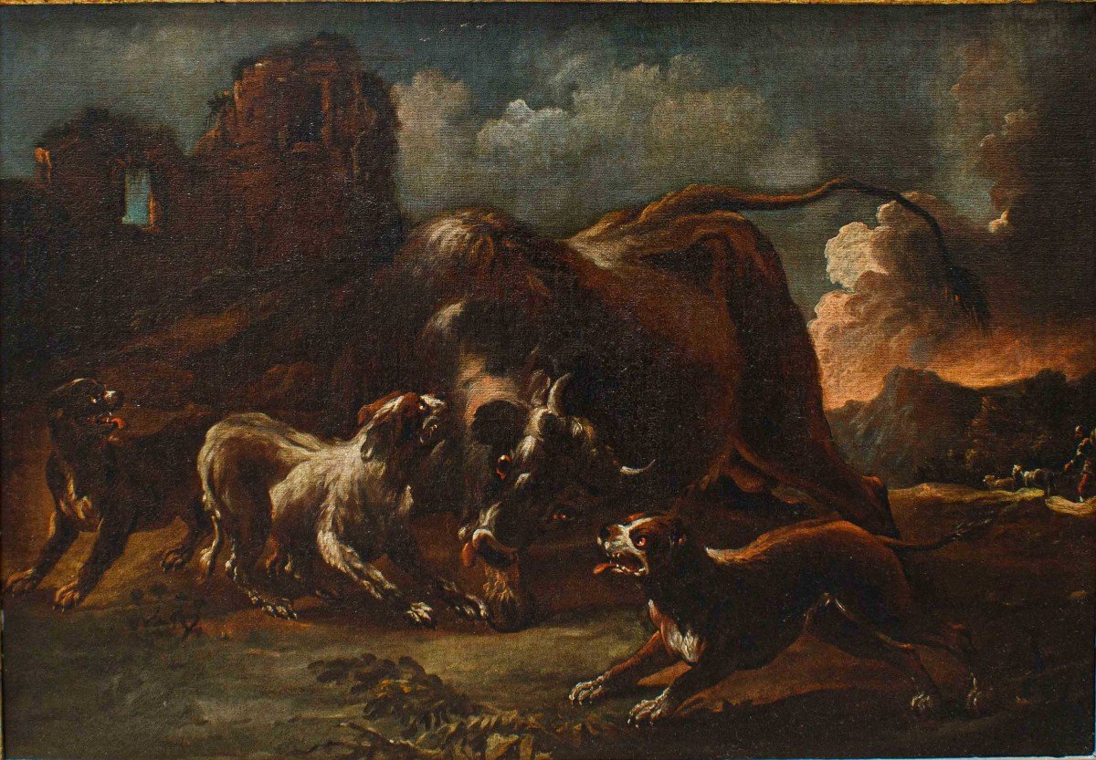 Giovanni Crivelli detto il Crivellino (Milano, ? - Parma, 1760), Lotta tra cani e bisonte-photo-2