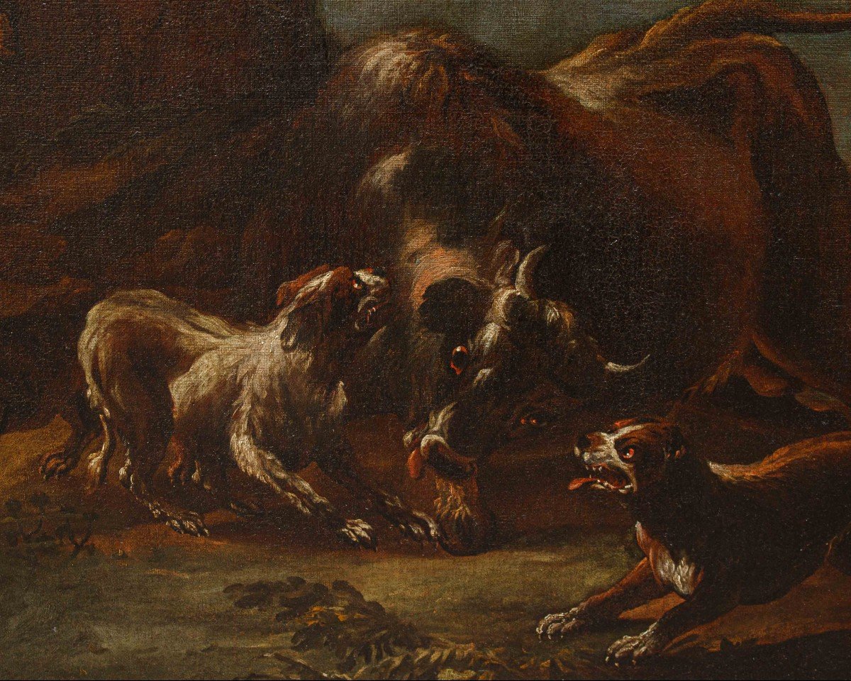 Giovanni Crivelli detto il Crivellino (Milano, ? - Parma, 1760), Lotta tra cani e bisonte-photo-3