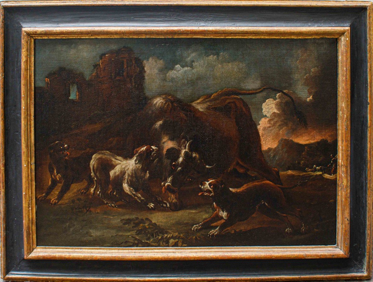 Giovanni Crivelli detto il Crivellino (Milano, ? - Parma, 1760), Lotta tra cani e bisonte