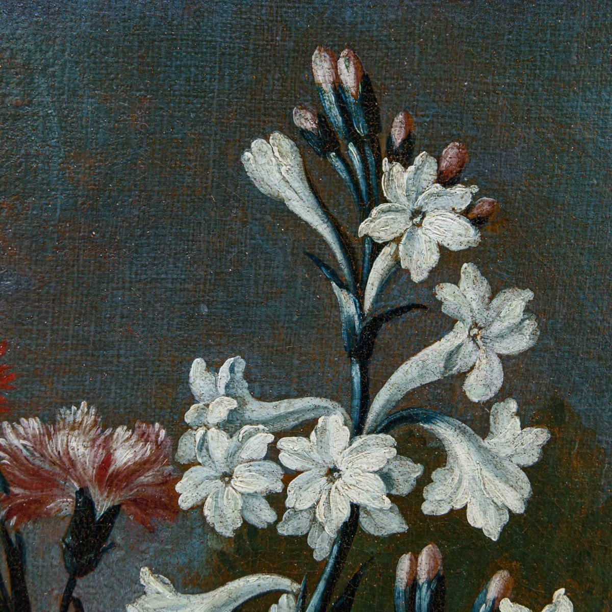 Karel Van Vogelaer, detto Carlo dei fiori (1653 - 1695), Vaso di fiori-photo-5