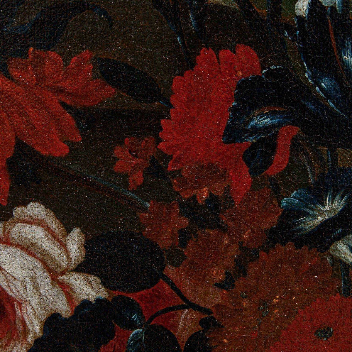 Karel Van Vogelaer, detto Carlo dei fiori (1653 - 1695), Vaso di fiori-photo-6