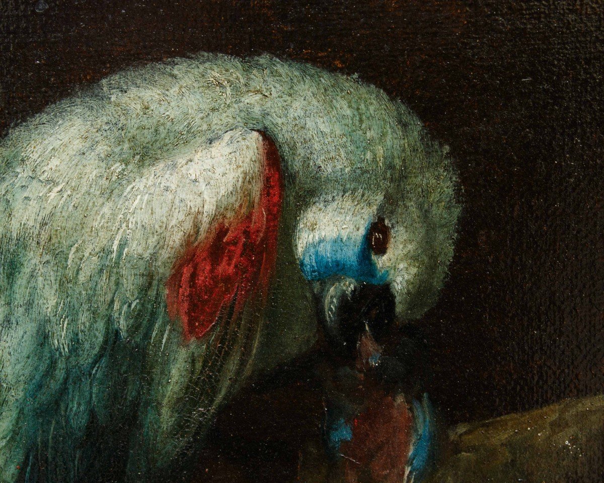 Scuola Romana, XVIII secolo, Natura morta con pappagallo e fichi-photo-2