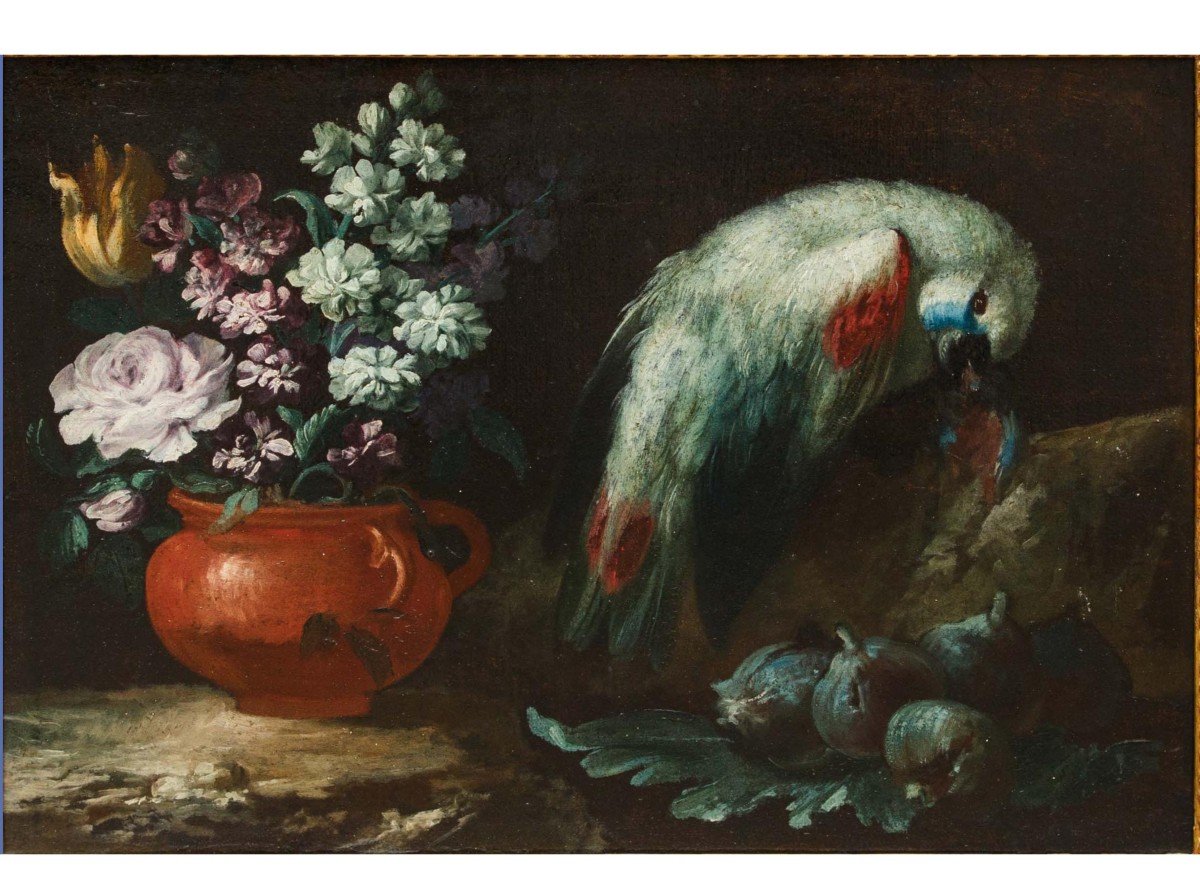 Scuola Romana, XVIII secolo, Natura morta con pappagallo e fichi-photo-3