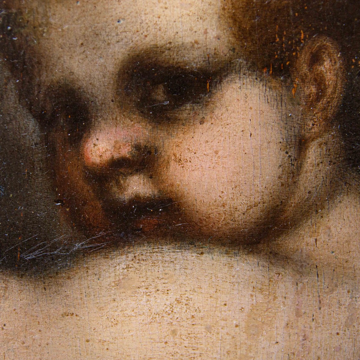Scuola di Andrea del Sarto (Firenze, 1486 – Firenze, 1530), San Giovannino-photo-4